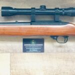 Ruger 1022 Carbine